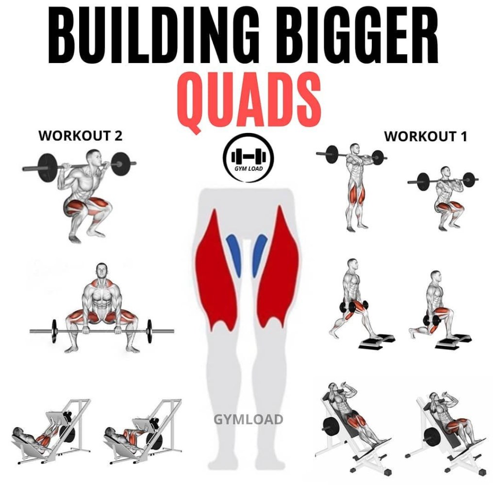 Picture of: Can We Help You Shape Your Quads? Most Definitely, Use This Strong