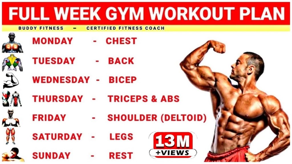 Picture of: Full Week Gym Workout Plan  Week Schedule For Gym Workout  Buddy Fitness