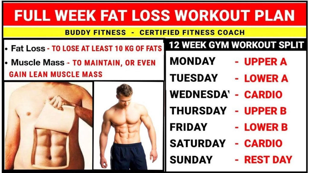Picture of: Full Week Workout Plan For Fat Loss  Body Transformation Fat To Fit  Fat  Loss Workout