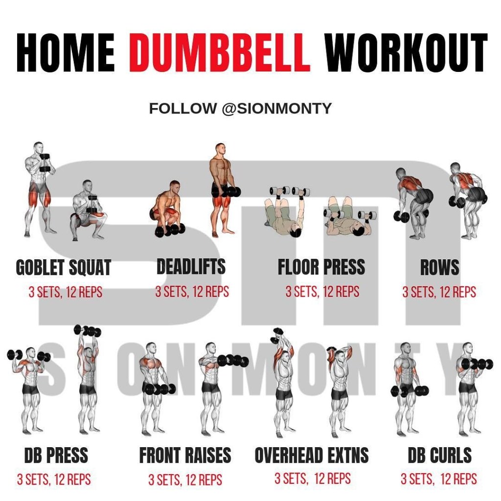Picture of: Gain Muscle Mass Using Only Dumbbells With  Demonstrated