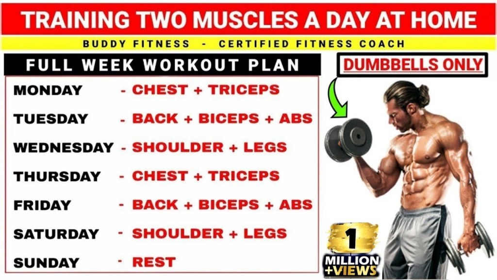 Picture of: Two Muscle Groups Per Day Workout Plan  Full Week Workout Plan At Home  With Dumbbells